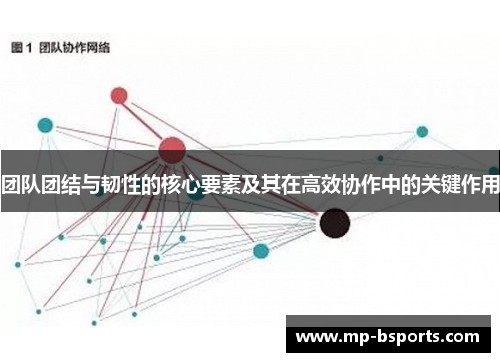 团队团结与韧性的核心要素及其在高效协作中的关键作用