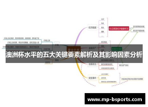 澳洲杯水平的五大关键要素解析及其影响因素分析
